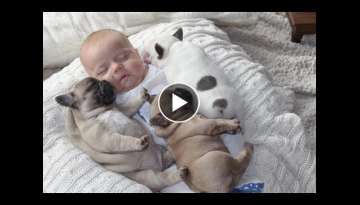 Cute Dogs Babysitting Dog And Baby Sleeping Together Compilation 2017