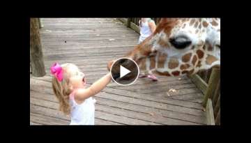 FORGET CATS! Funny KIDS vs ZOO ANIMALS are WAY FUNNIER! - TRY NOT TO LAUGH FORGET CATS! Funny KIDS vs ZOO ANIMALS are WAY FUNNIER! - TRY NOT TO LAUGH