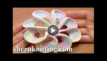 3D Spiral 8-Petal Flower Trim Around Tutorial 56 Perustekniikoilla virkattu kukka 3D Spiral 8-Petal Flower Trim Around Tutorial 56 Perustekniikoilla virkattu kukka