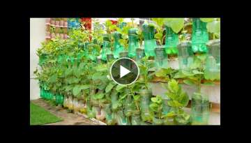 Growing Vegetables at Home with Automatic Watering, Vertical Vegetable Garden Ideas